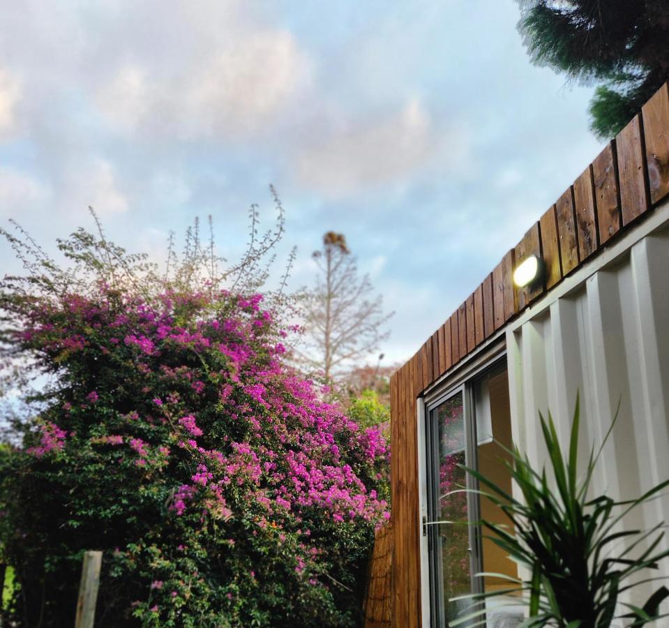 Casa L Hotel I Punta Del Este Bagian luar foto